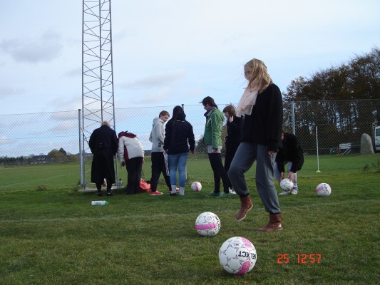 HAARBY - 25,10-01.11.2010 097.jpg