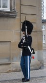 dsc03636.JPG