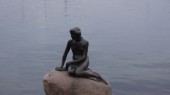 dsc03664.JPG