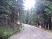 pa060127.JPG