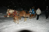 DSC06700.JPG