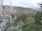 ANKARA TURCJA, KWIECIEŃ 2011 099.jpg