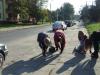 Kliknij by wej¶æ dscf7966_t1.jpg