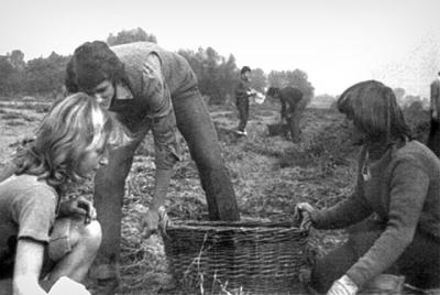 szkola89.jpg